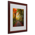 Philippe Sainte-Laudy 'The Lost Path' Matted Framed Art - 16x20 Inches - Wood Frame