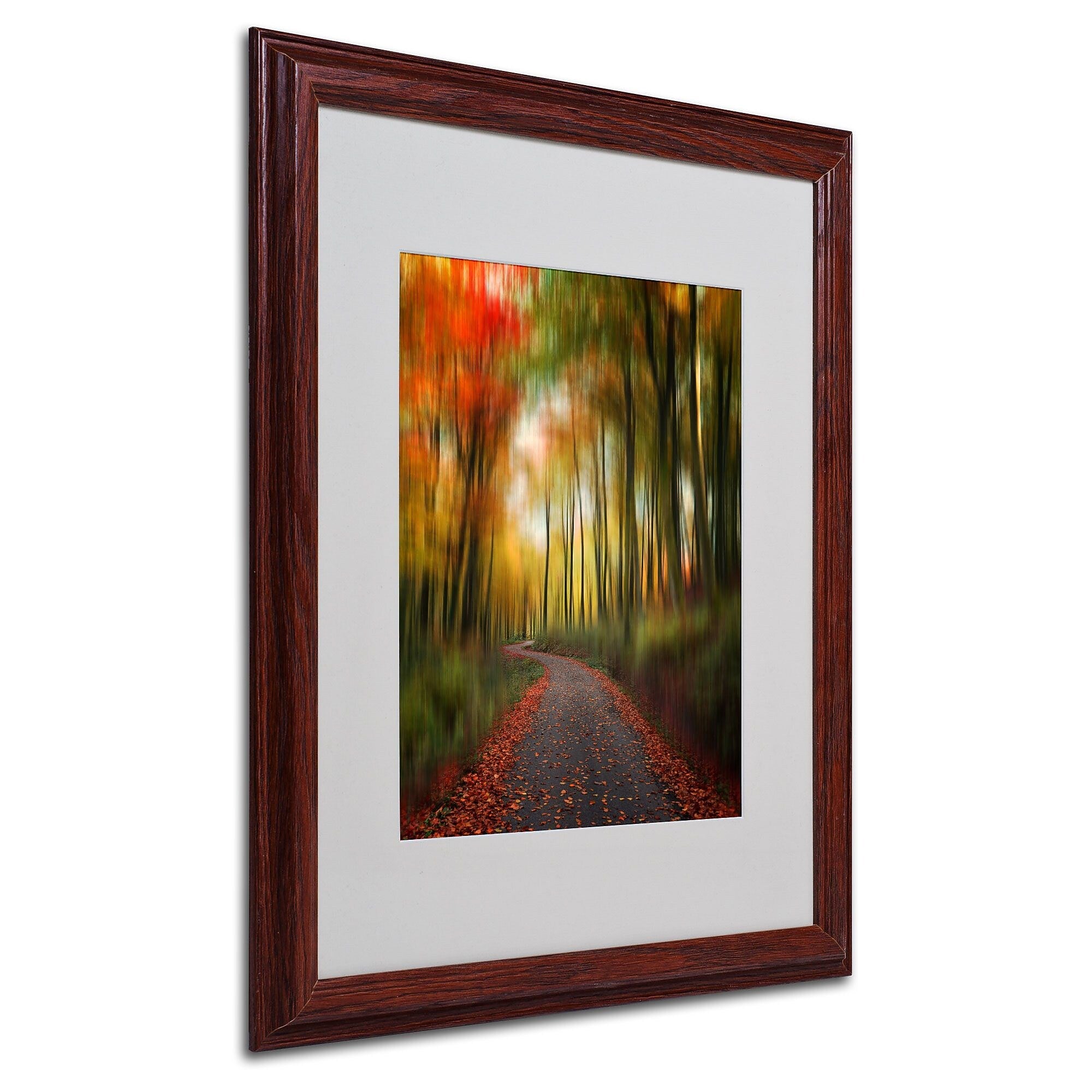 Philippe Sainte-Laudy 'The Lost Path' Matted Framed Art - 16x20 Inches - Wood Frame