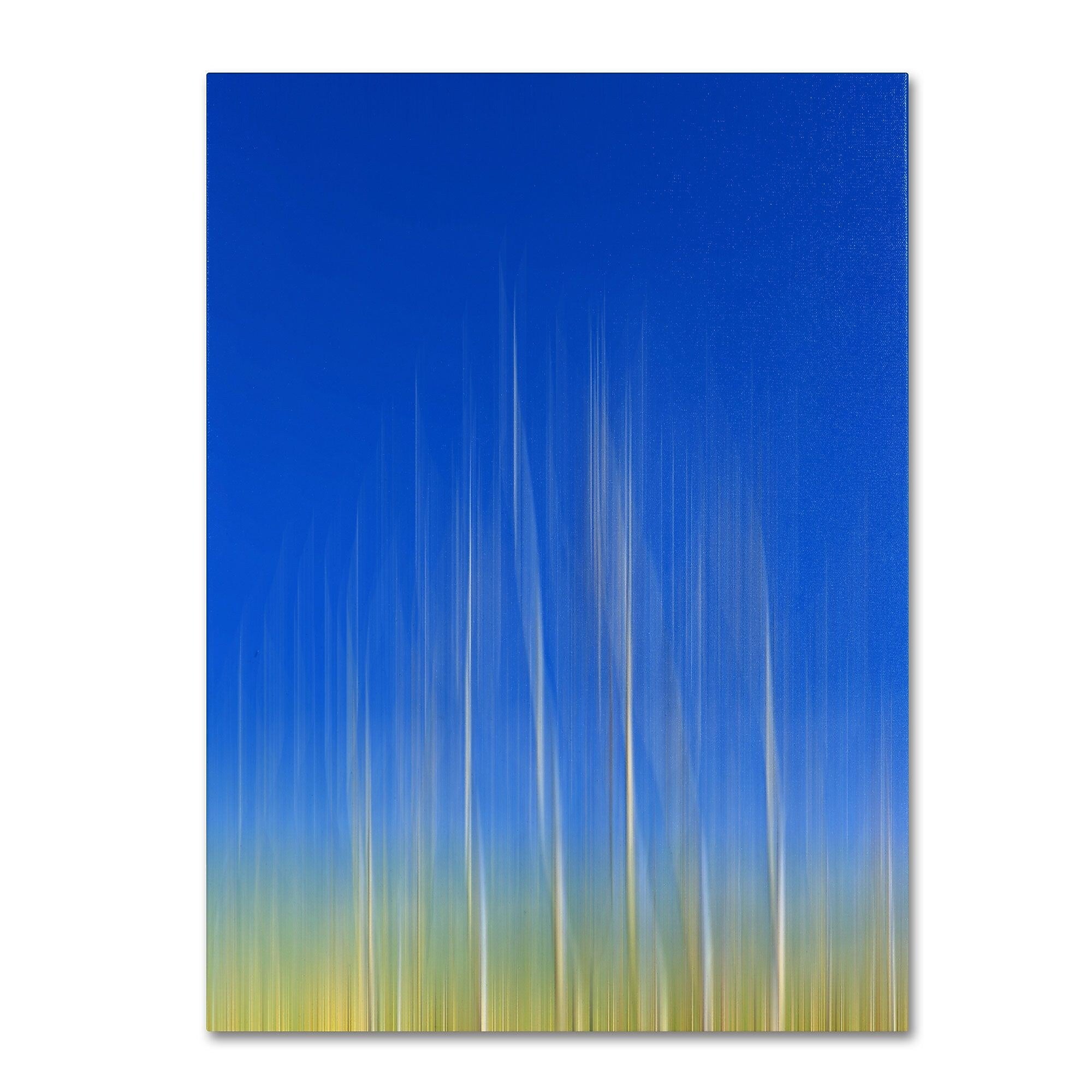 Trademark Fine Art Philippe Sainte-Laudy 'Vertical Activity' Canvas Art 22x32 Inches