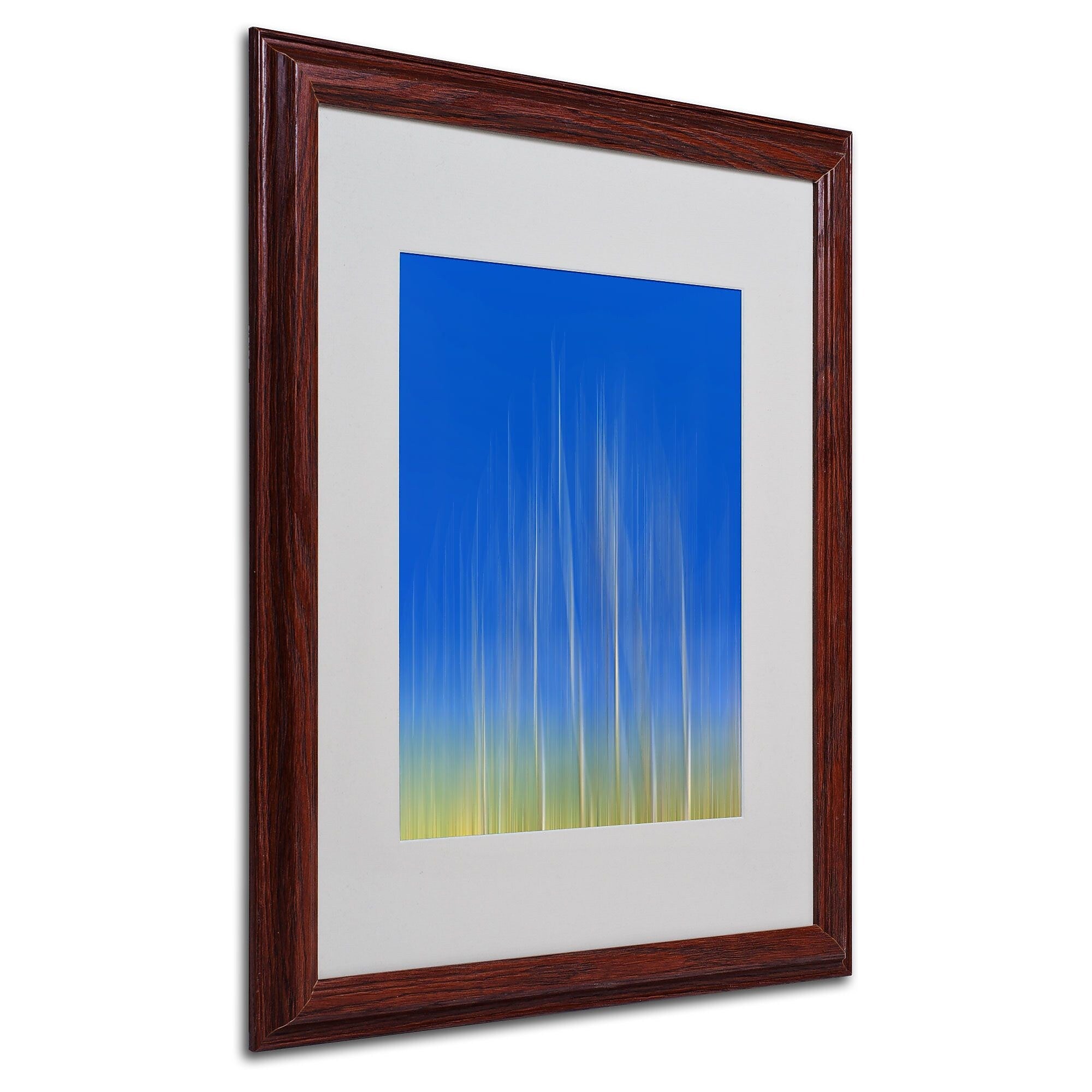 Philippe Sainte-Laudy 'Vertical Activity' Matted Framed Art - 16x20 Inches - Wood Frame