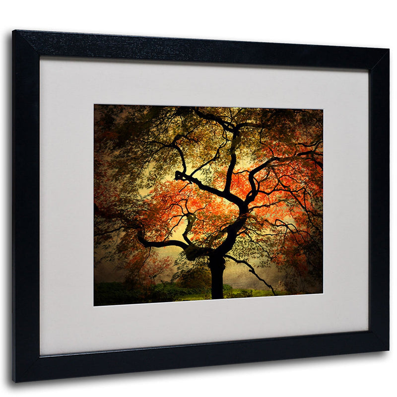 Trademark Fine Art Philippe Sainte-Laudy 'Japanese' Matted Art Black Frame 16x20 Inches