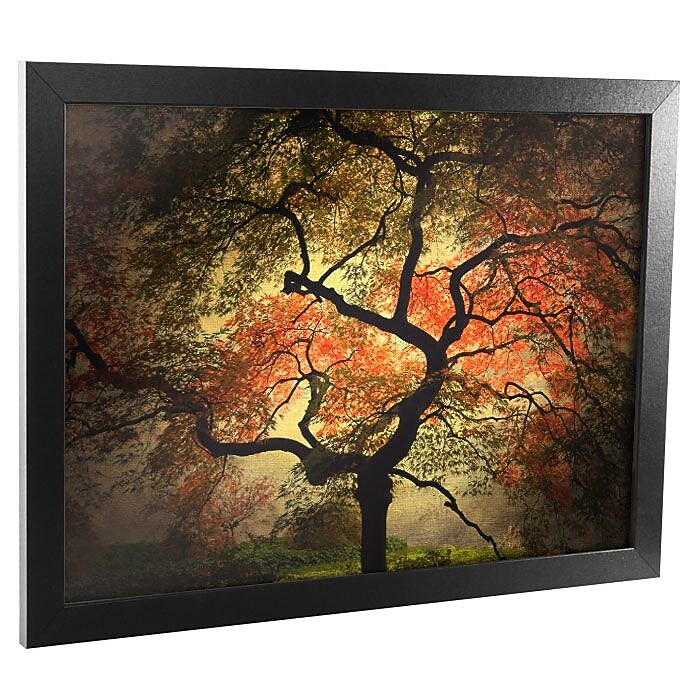 Trademark Fine Art Philippe Sainte-Laudy 'Japanese' Matted Art Black Frame 11x14 Inches