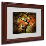 Philippe Sainte-Laudy 'Japanese' Framed Matted Art - 11x14 Inches - Wood Frame