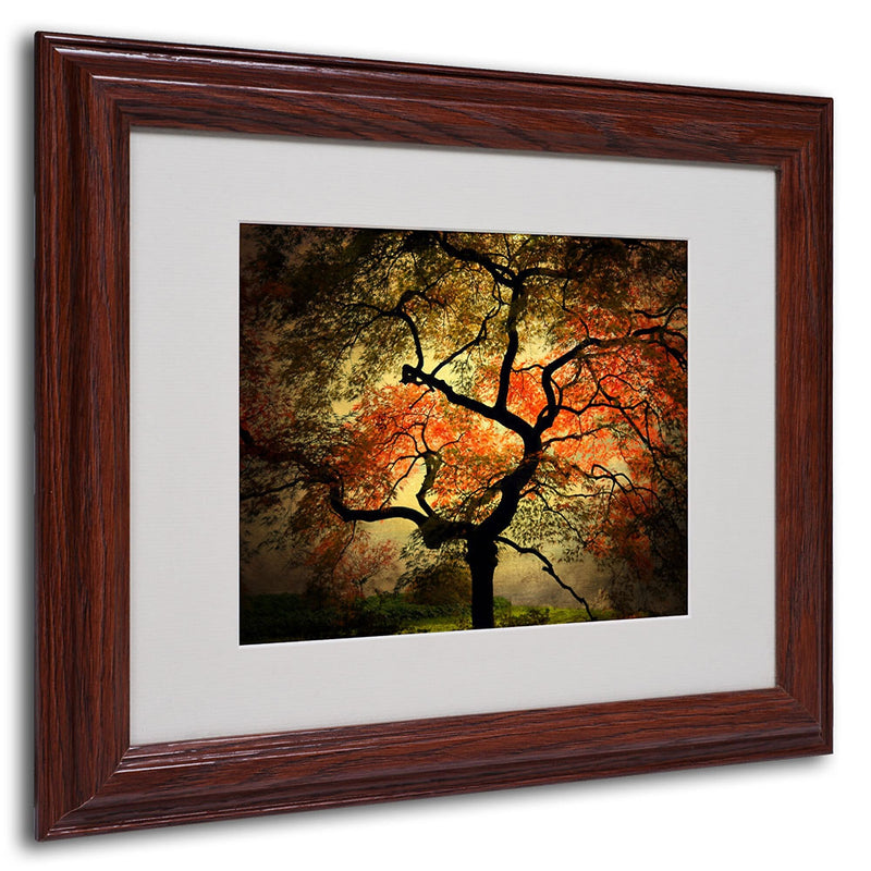 Philippe Sainte-Laudy 'Japanese' Framed Matted Art - 11x14 Inches - Wood Frame