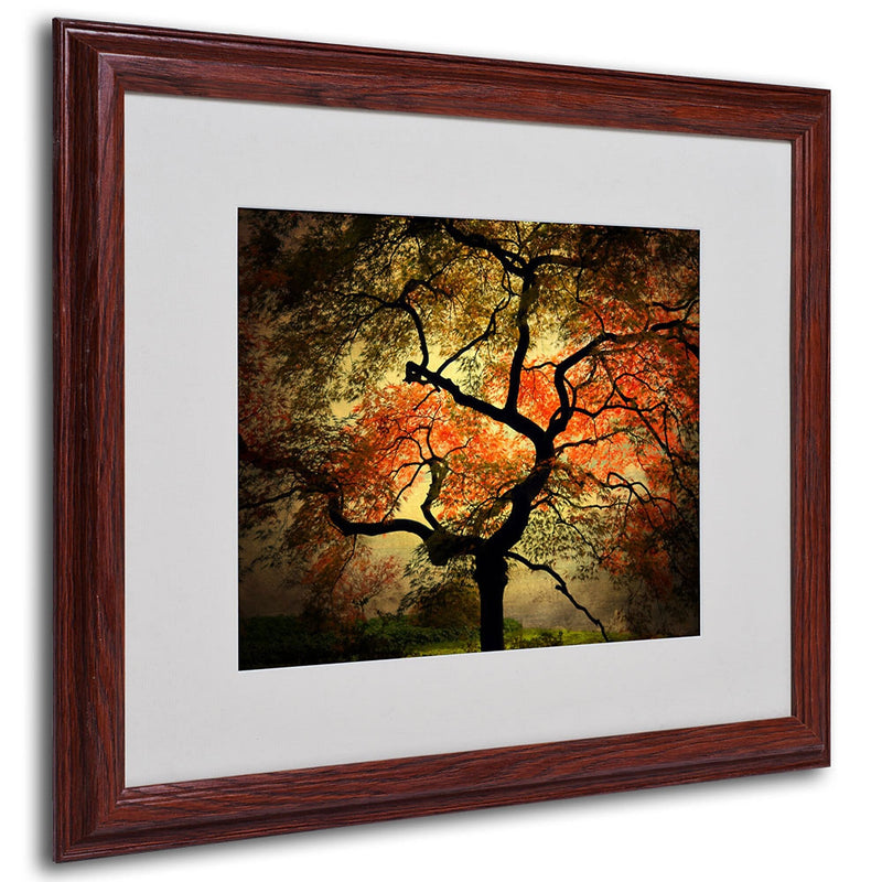 Philippe Sainte-Laudy 'Japanese' Framed Matted Art - 16x20 Inches - Wood Frame