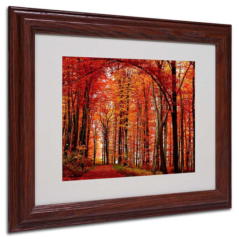 Philippe Sainte-Laudy 'The Red Way' Framed Matted Art - 11x14 Inches - Wood Frame