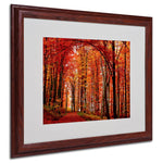 Philippe Sainte-Laudy 'The Red Way' Framed Matted Art - 16x20 Inches - Wood Frame