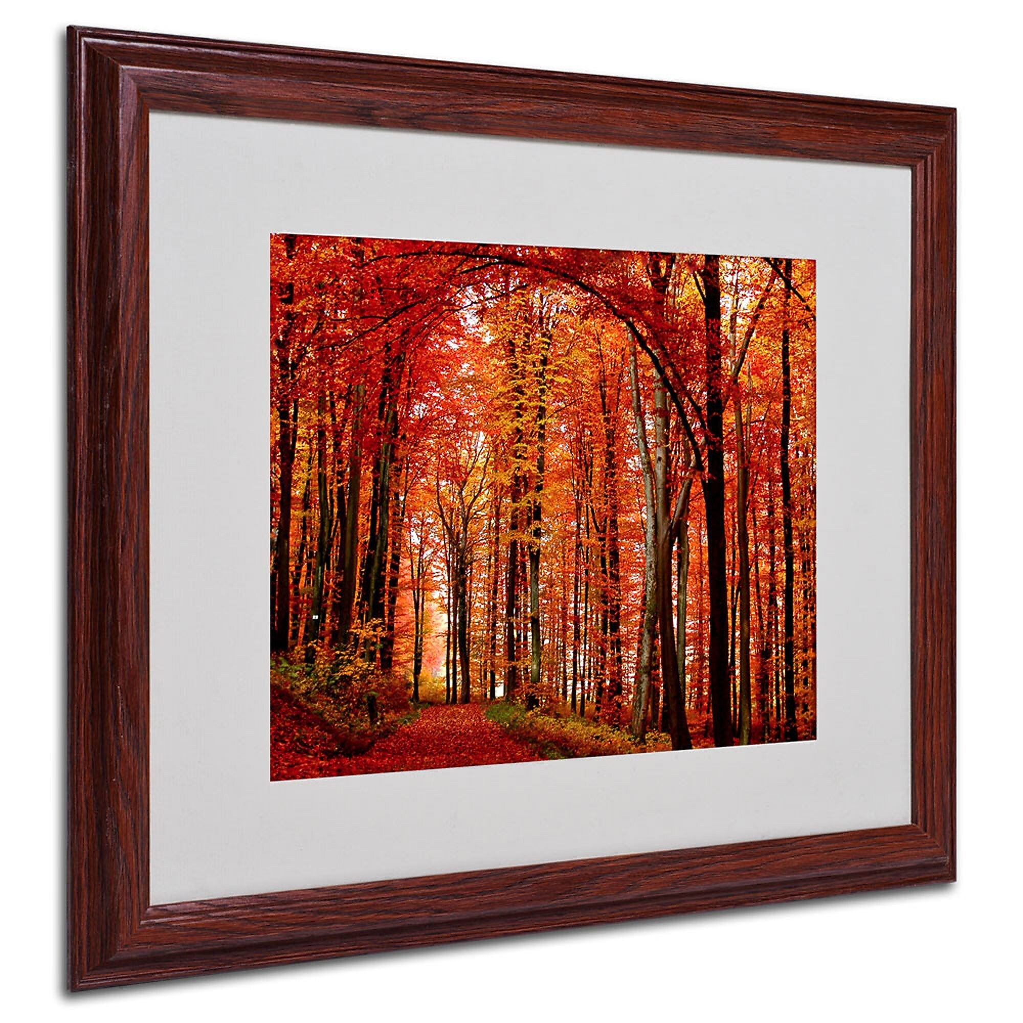 Philippe Sainte-Laudy 'The Red Way' Framed Matted Art - 16x20 Inches - Wood Frame