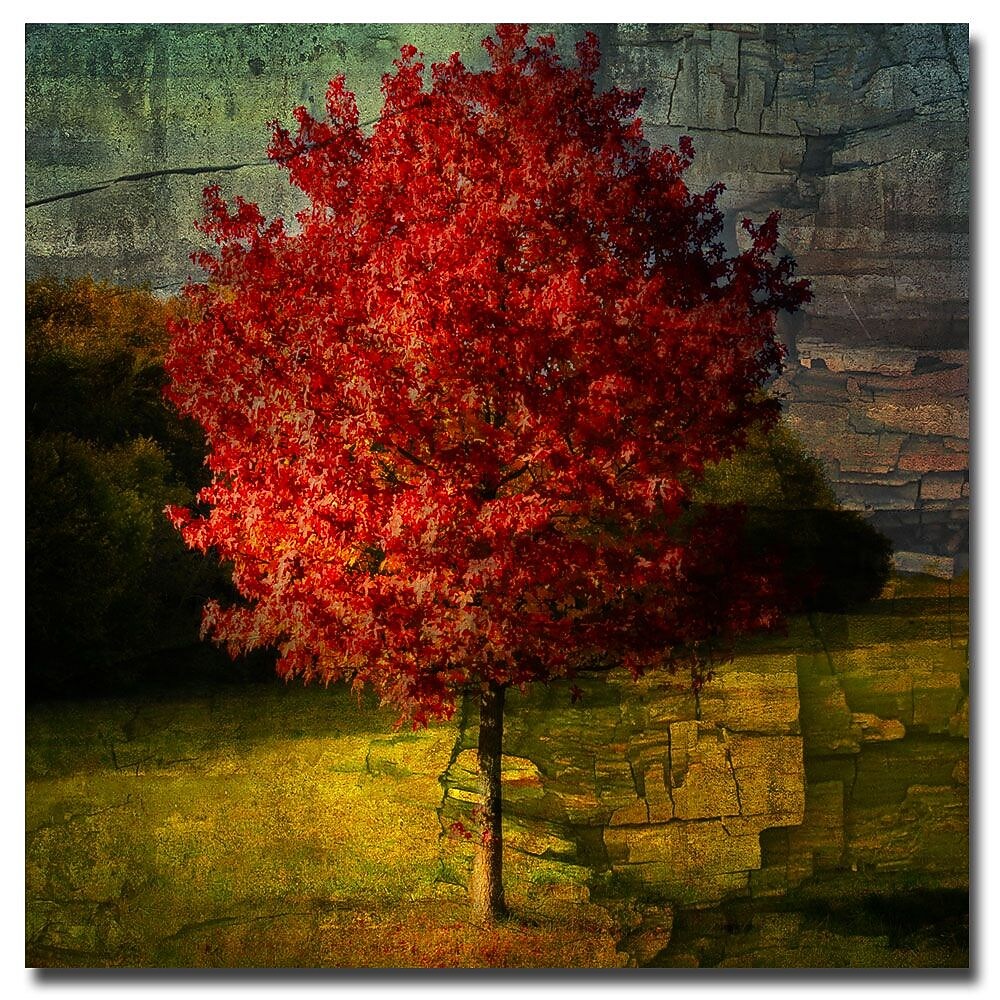 Trademark Fine Art Philippe Sainte Laudy 'Autumn Red' Canvas Art 18x18 Inches