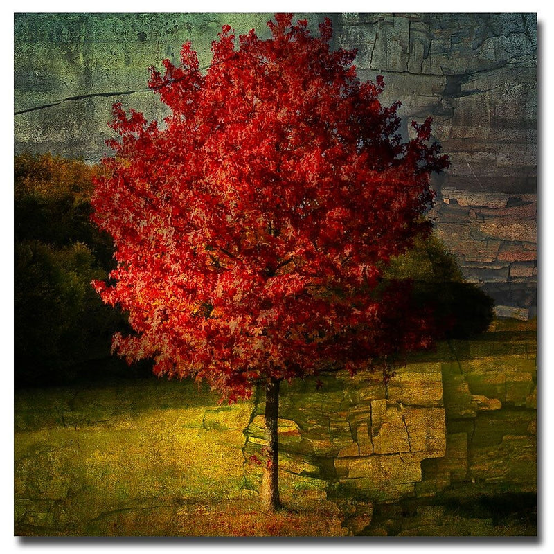 Trademark Fine Art Philippe Sainte Laudy 'Autumn Red' Canvas Art 35x35 Inches