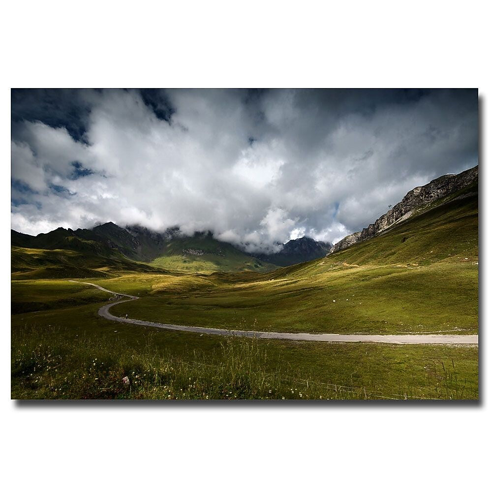 Trademark Fine Art Philippe Sainte Laudy 'Dark Green' Canvas Art 30x47 Inches
