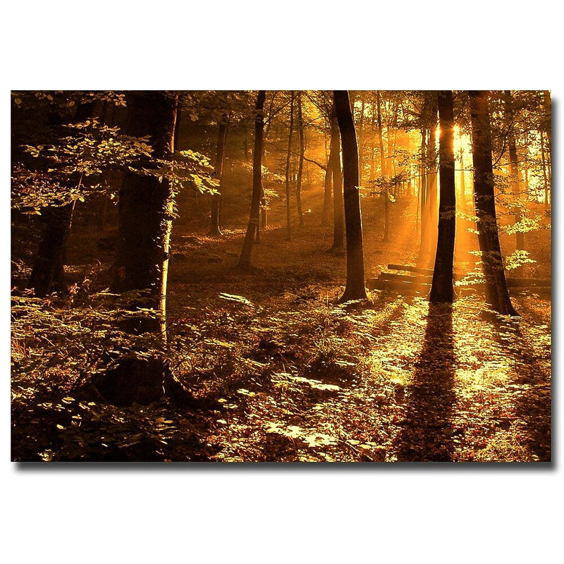 Trademark Fine Art Philippe Sainte Laudy 'Morning Light' Canvas Art 16x24 Inches