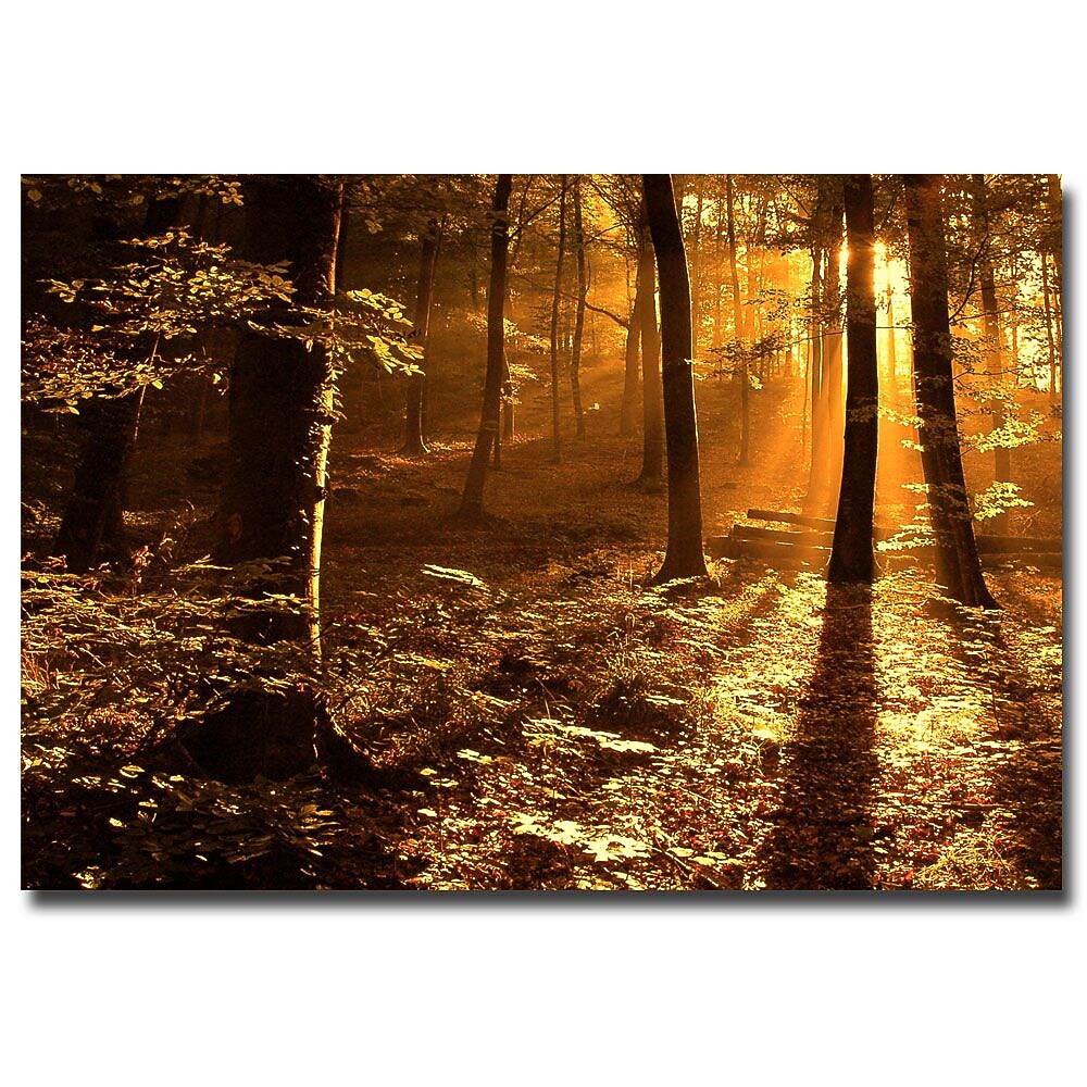 Trademark Fine Art Philippe Sainte Laudy 'Morning Light' Canvas Art 22x32 Inches