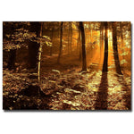 Trademark Fine Art Philippe Sainte Laudy 'Morning Light' Canvas Art 22x32 Inches