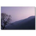 Trademark Fine Art Philippe Sainte Laudy 'Purple Hours' Canvas Art 16x24 Inches