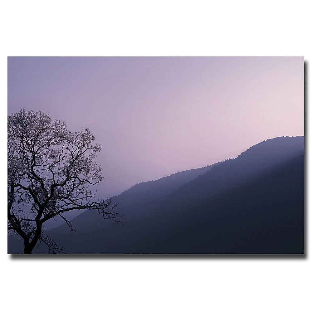 Trademark Fine Art Philippe Sainte Laudy 'Purple Hours' Canvas Art 30x47 Inches