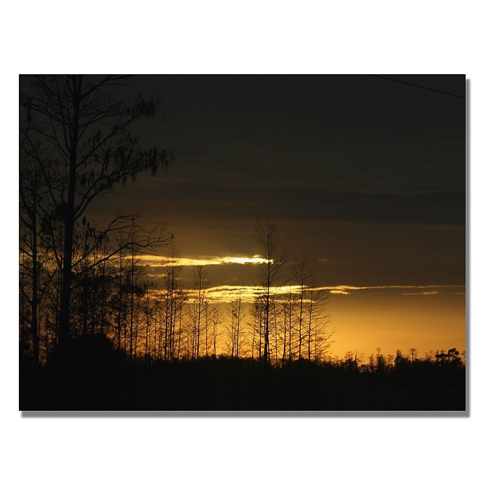 Trademark Fine Art Patty Tuggle 'Trees at Dusk' Canvas Art 22x32 Inches