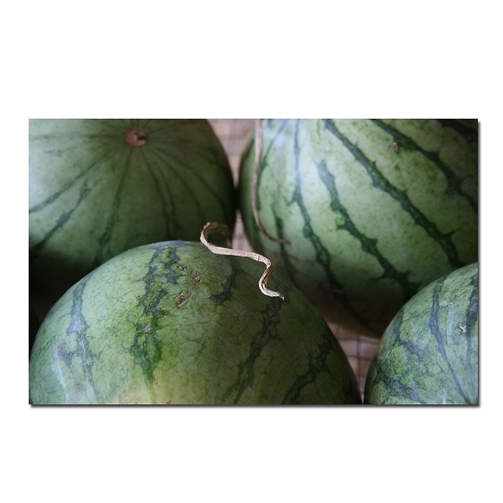 Trademark Fine Art Summer Watermellons by Patty Tuggle-18x32 Canvas Art