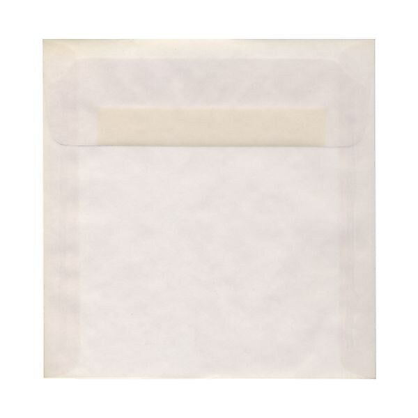 JAM Paper 9.5 x 9.5 Square Translucent Vellum Invitation Envelopes, Clear, Bulk 1000/Carton (2851357B)