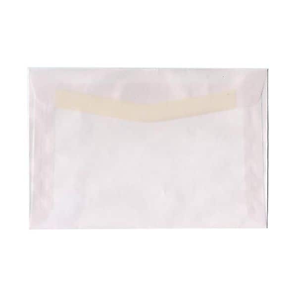 JAM Paper 6 x 9 Booklet Translucent Vellum Envelopes, Clear, Bulk 1000/Carton (80538B)