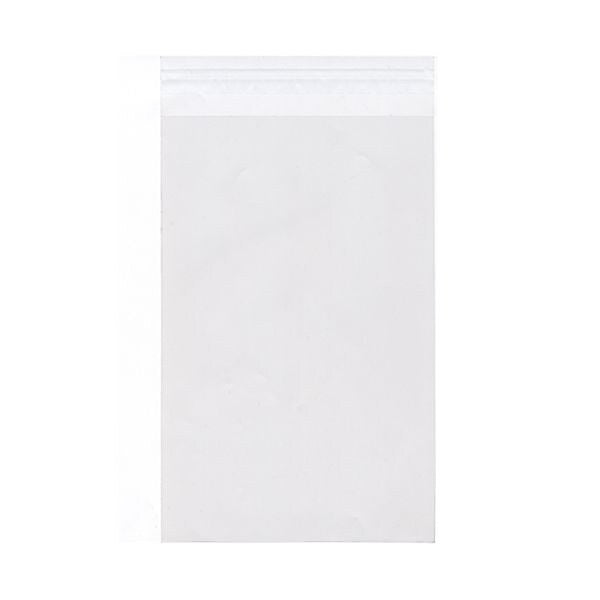 JAM Paper Cellophane Envelope with Peel & Seal Closure, 8 7/16 x 10 1/4, Clear, 100/Pack (8X10CELLO)