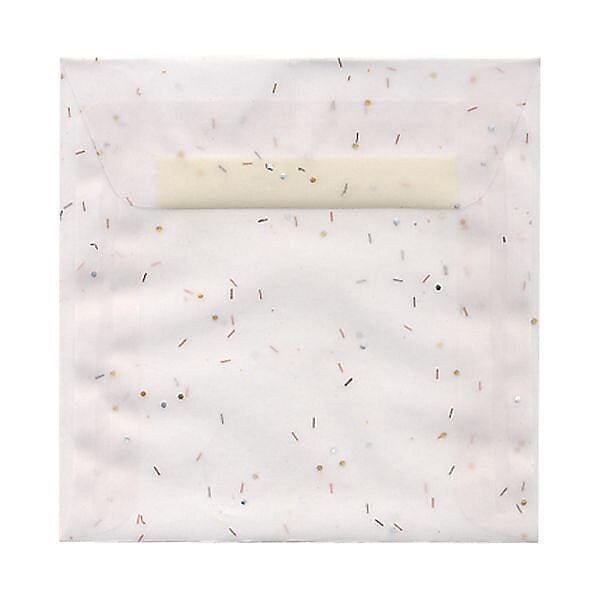 JAM Paper 6 x 6 Square Translucent Vellum Invitation Envelopes, Heavy Metal, 25/Pack (1591924)