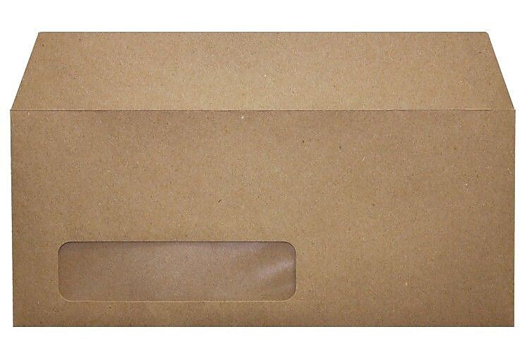 LUX 4 1/8" x 9 1/2" #10 Window Envelopes, Pastel Green, 50/Pack