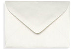 LUX #17 Mini Envelopes (2 11/16 x 3 11/16) 50/Box, Quartz Metallic (MINSDQ-50)
