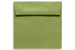 LUX 5 1/2 x 5 1/2 Square Envelopes, 50/Box, Avocado (EX8515-27-50)