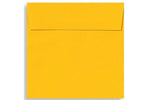 LUX 5 1/2 x 5 1/2 Square Envelopes, 50/Box, Sunflower (EX8515-12-50)