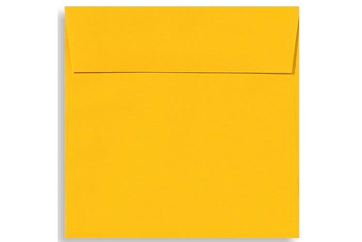 LUX 5 1/2 x 5 1/2 Square Envelopes, 50/Box, Sunflower (EX8515-12-50)