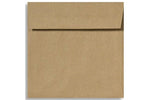 LUX 5 x 5 Square Envelopes, 500/Box, Grocery Bag (8505-GB-500)