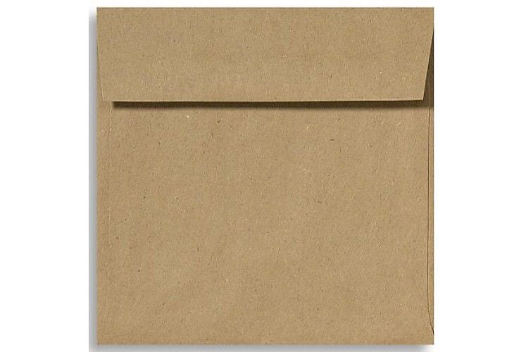 LUX 5 x 5 Square Envelopes, 500/Box, Grocery Bag (8505-GB-500)