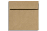 LUX 6 1/2 x 6 1/2 Square Envelopes, 50/Box, Grocery Bag (8535-GB-50)