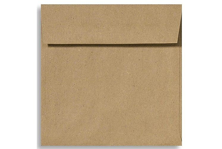 LUX 6 1/2 x 6 1/2 Square Envelopes, 50/Box, Grocery Bag (8535-GB-50)