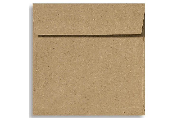 LUX 6 1/2 x 6 1/2 Square Envelopes, 500/Box, Grocery Bag (8535-GB-500)