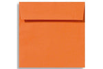LUX 6 1/2 x 6 1/2 Square Envelopes, 50/Box, Mandarin (EX8535-11-50)