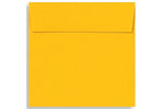LUX 6 1/2 x 6 1/2 Square Envelopes, 50/Box, Sunflower (EX8535-12-50)