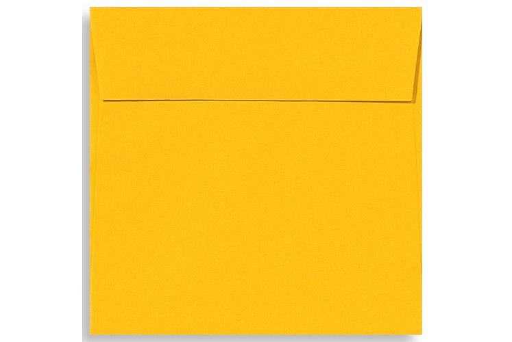 LUX 6 1/2 x 6 1/2 Square Envelopes, 50/Box, Sunflower (EX8535-12-50)