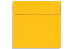 LUX 6 1/2 x 6 1/2 Square Envelopes, 1000/Box, Sunflower (EX8535-12-1000)