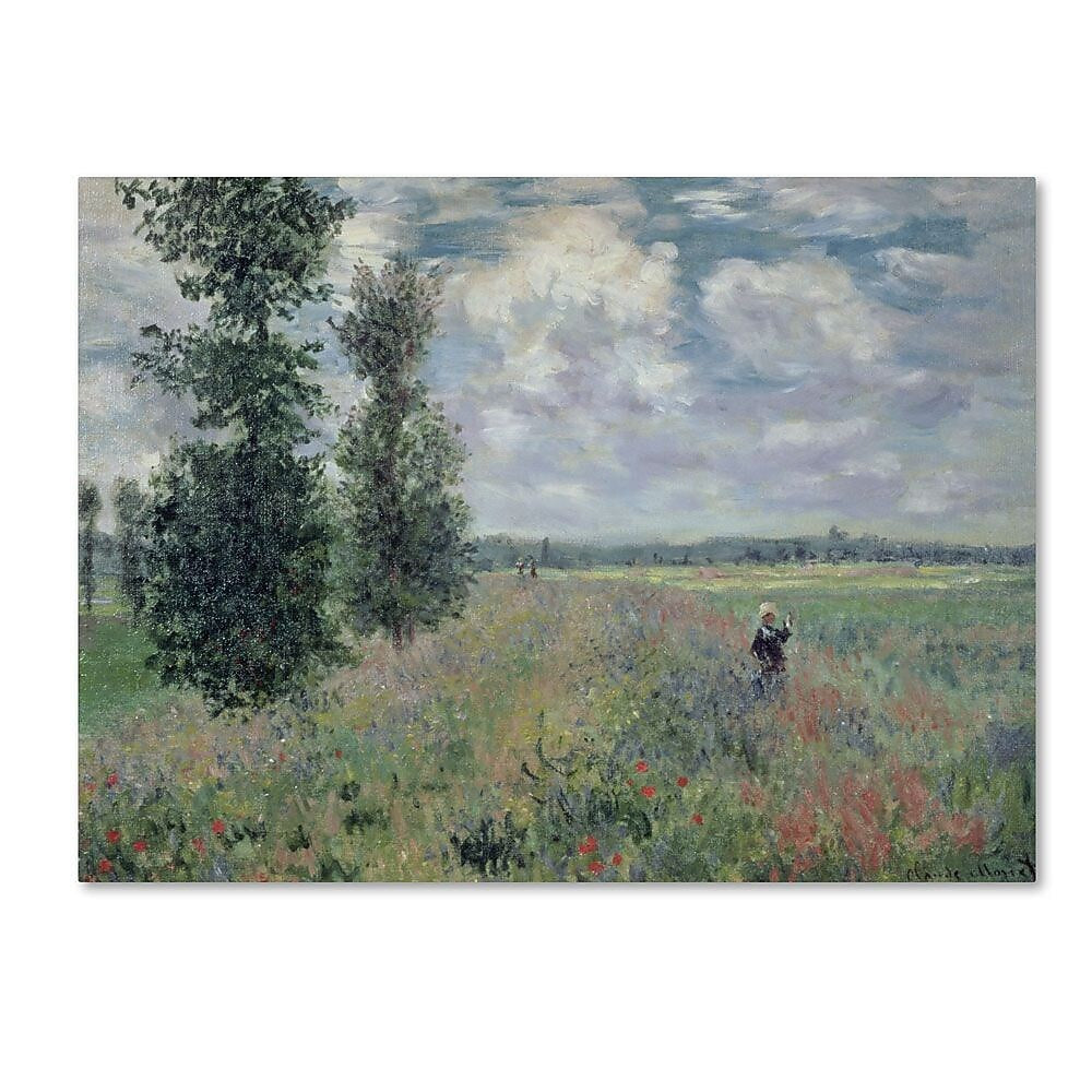 Trademark Fine Art 'The Poppy Field' 35" x 47" Canvas Art