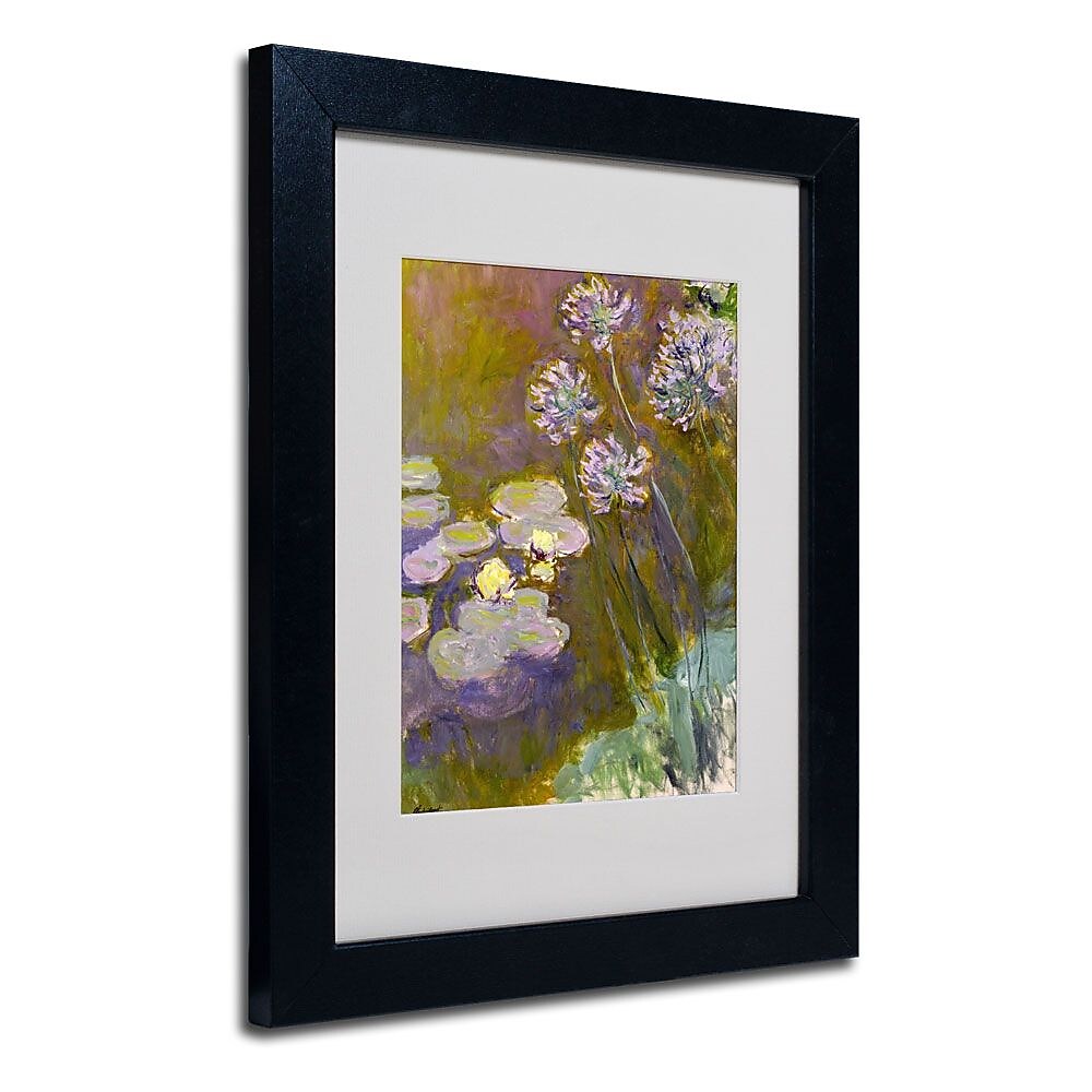 Trademark Fine Art 'Waterlilies and Agapanthus' 11" x 14" Black Frame Art