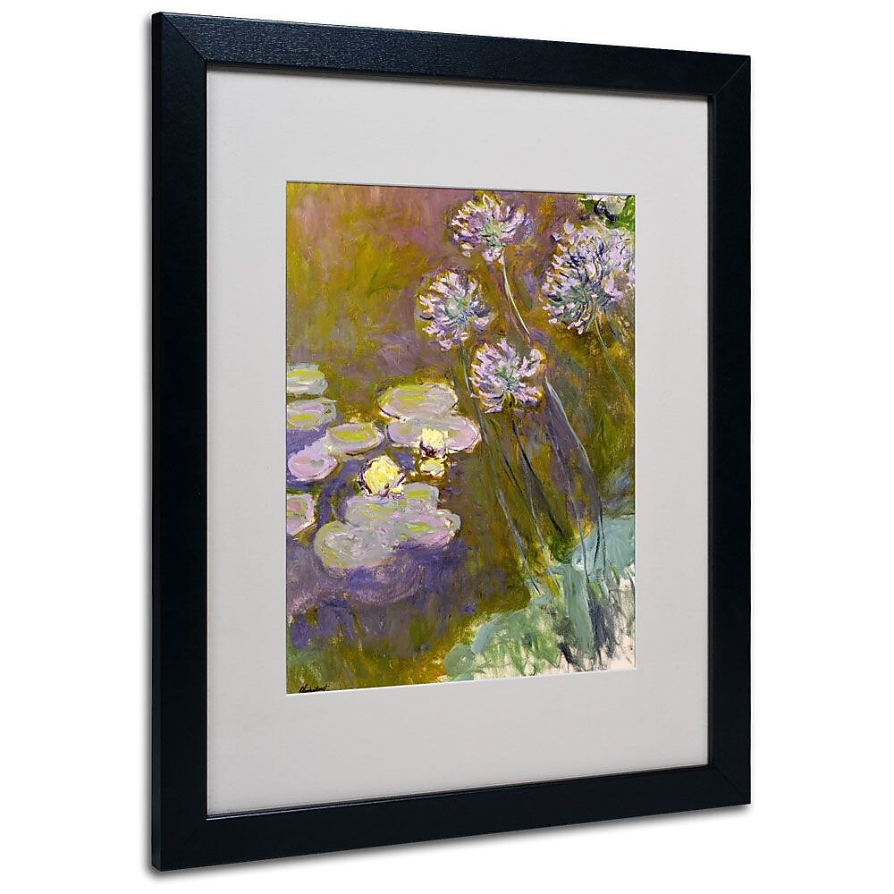 Trademark Fine Art 'Waterlilies and Agapanthus' 16" x 20" Black Frame Art