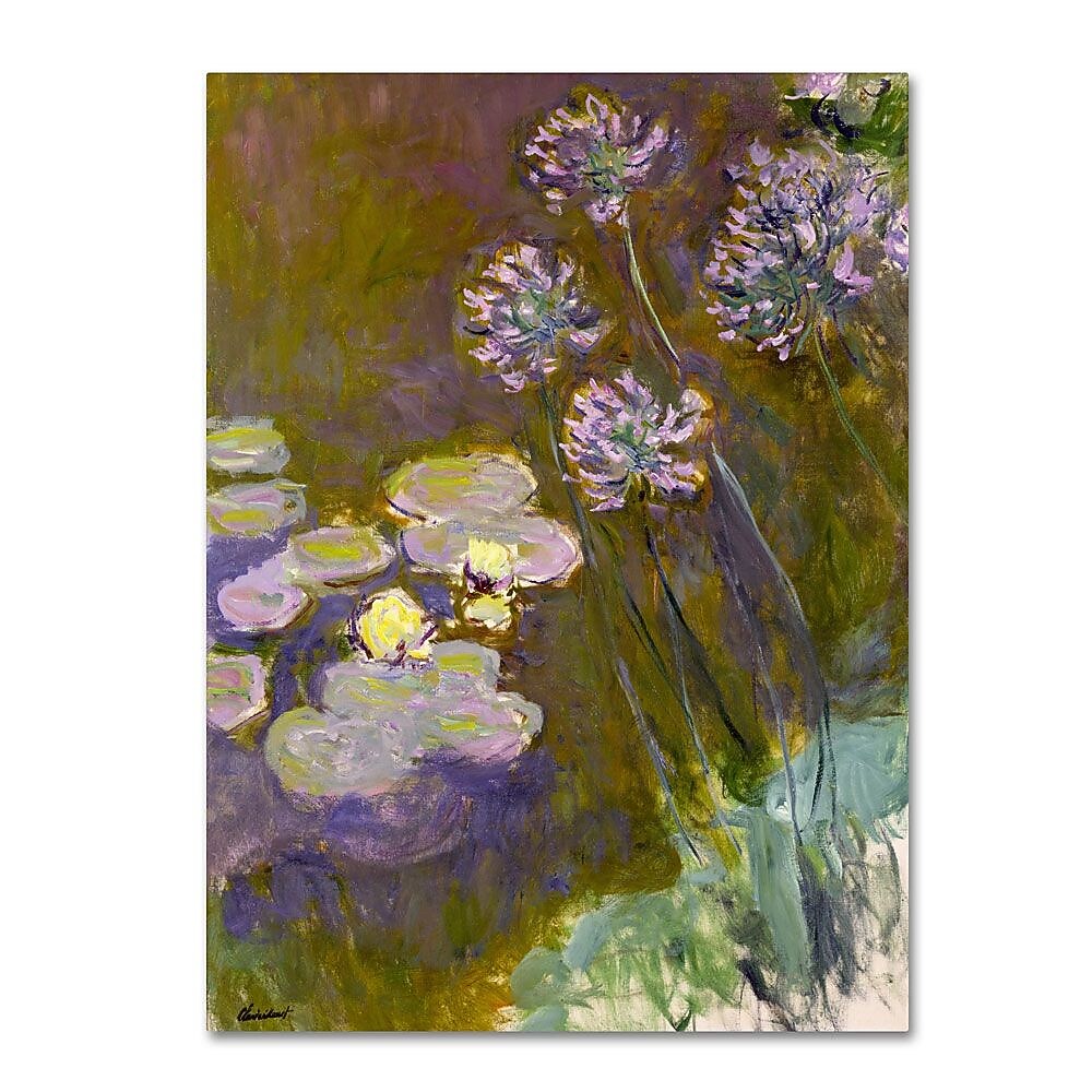 Trademark Fine Art 'Waterlilies and Agapanthus' 26" x 32" Canvas Art