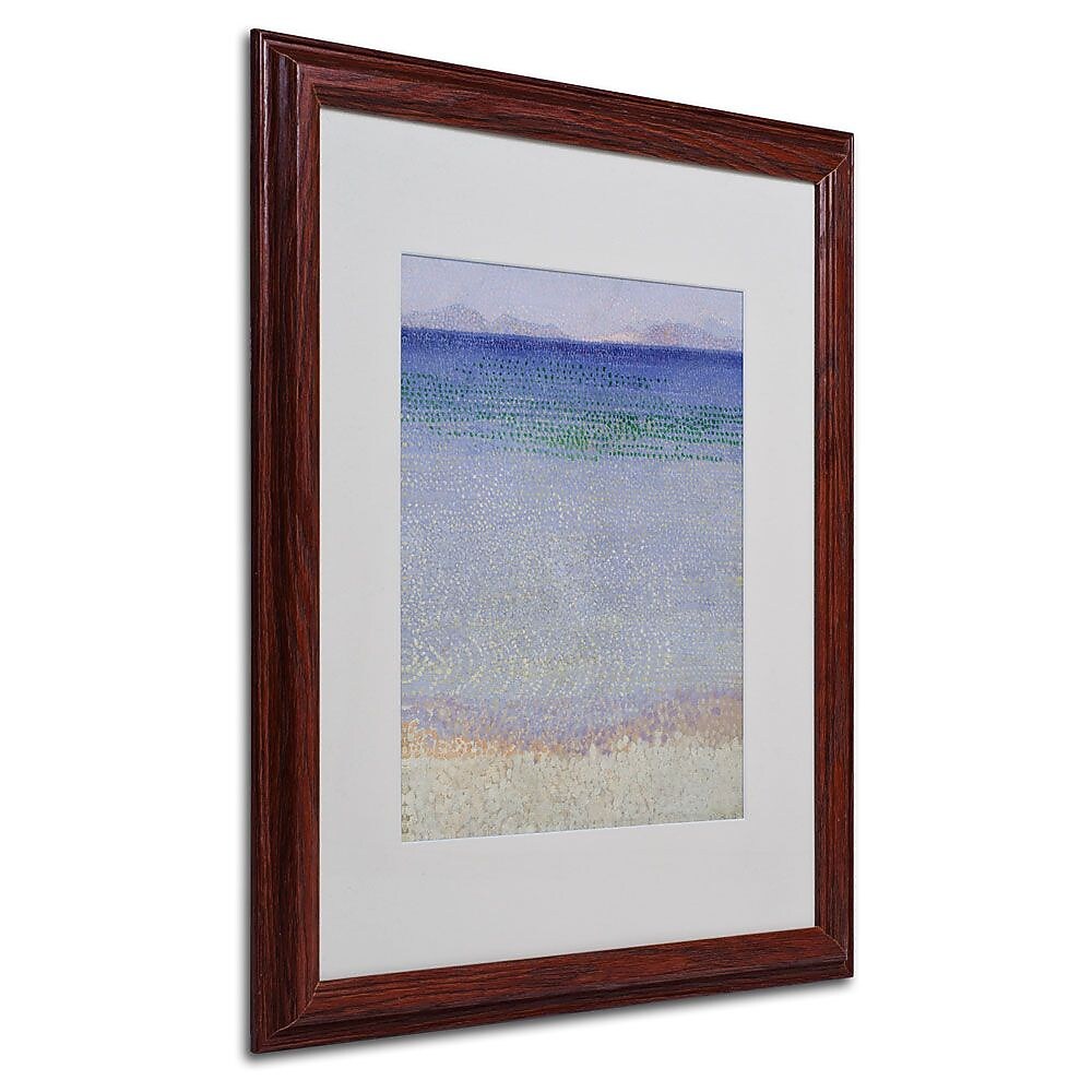 Trademark Fine Art 'The Iles d' 16" x 20" Wood Frame Art