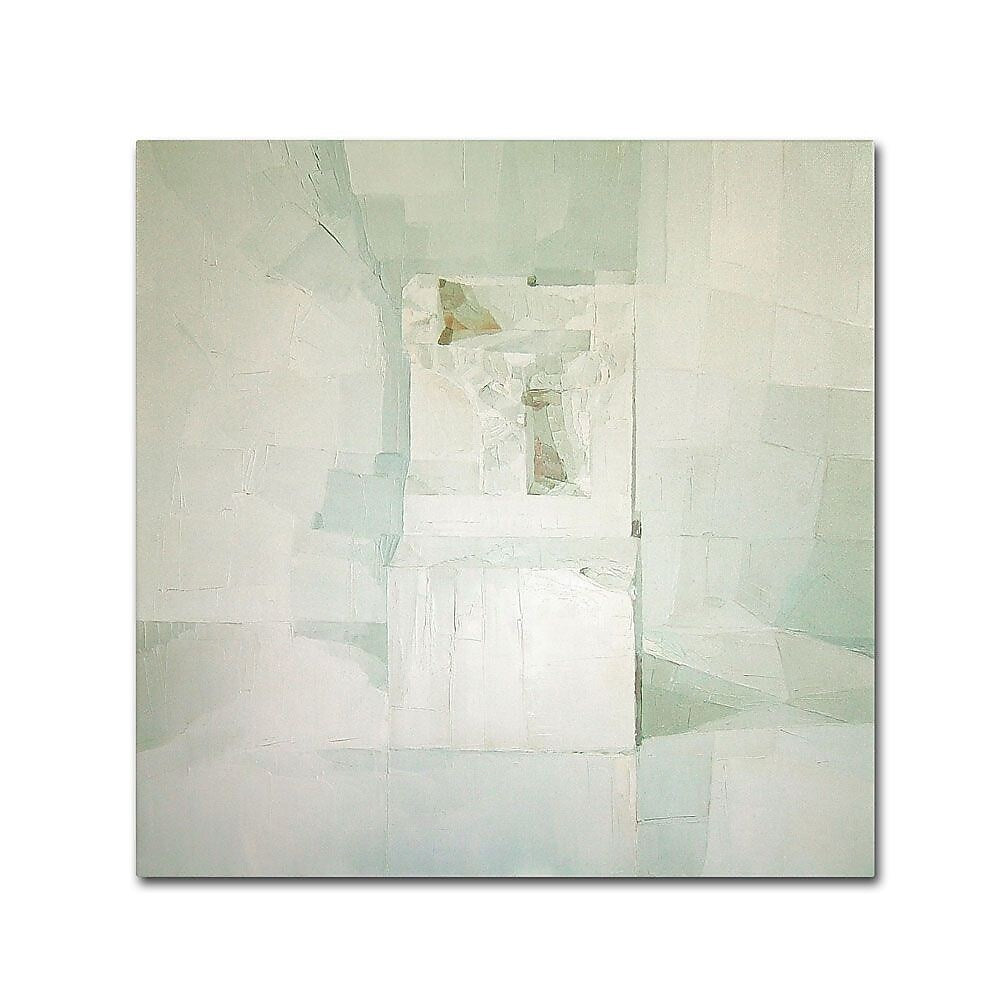 Trademark Fine Art 'White' 14" x 14" Canvas Art