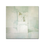 Trademark Fine Art 'White' 14" x 14" Canvas Art