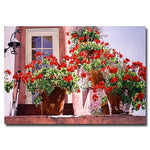 Trademark Fine Art 'Geraniums on the Stairs' 30" x 47" Canvas Art
