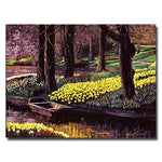 Trademark Fine Art 'Daffodil Park' 26" x 32" Canvas Art