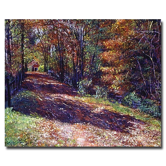 Trademark Fine Art 'Old Farmhouse Road' 35" x 47" Canvas Art